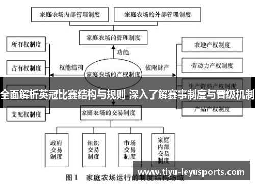 全面解析英冠比赛结构与规则 深入了解赛事制度与晋级机制 全面解析英冠比赛结构与规则 深入了解赛事制度与晋级机制