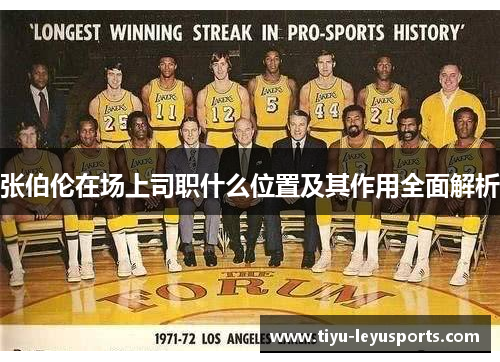 张伯伦在场上司职什么位置及其作用全面解析